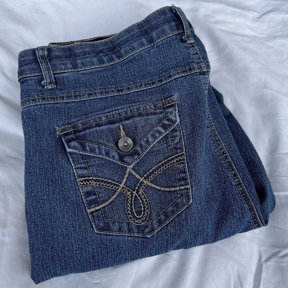 Gently used Cato Premium women's riveted 5-pocket stretchable jeans Size 16WP